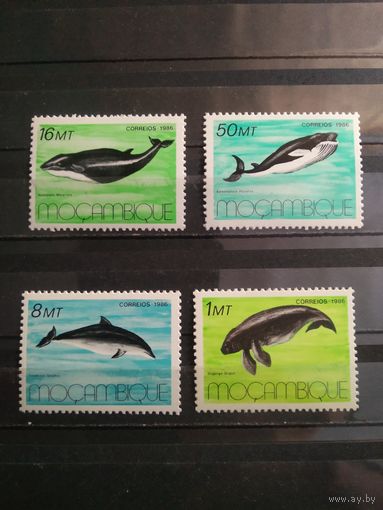 Мозамбик 1986 г. Киты.