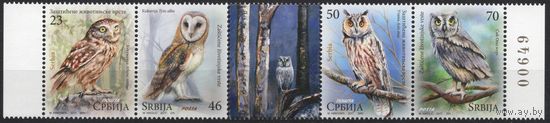 Сербия 2017. Совы. Сцепка 4 марки+купон (718)