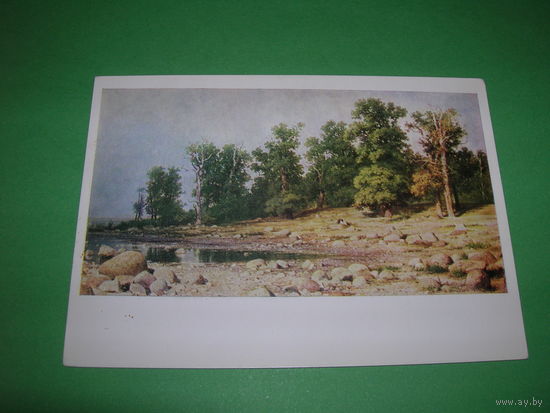 Живопись Шишкин Побережье дубовой рощи 1973 год чистая