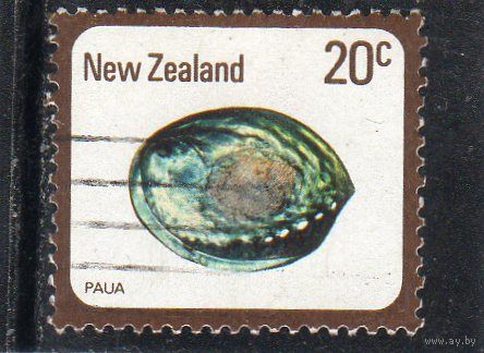 Новая Зеландия. Mi:NZ 760. Радужное морское ушко, морская ракушка Paua (Haliotis iris). Серия: Ракушки и улитки.1978.
