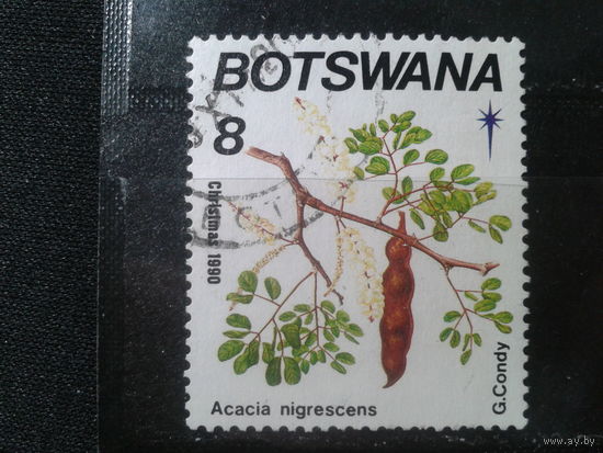 Ботсвана,1990. Акация