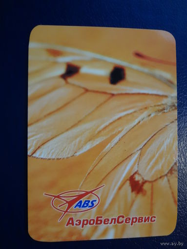 Календарик 2009 г.  АэроБелСервис.  Крыло.