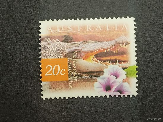Австралия 1997. Фауна и флора. Гребнистый крокодил и Ипомея водяная