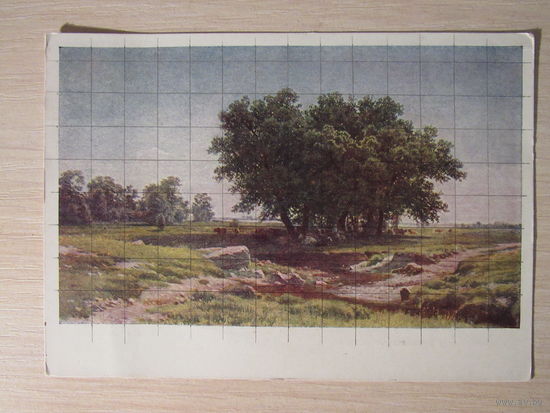 Дубки. Художник Шишкин И. И.