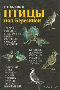 И. И. Бышнев. Птицы над Березиной.