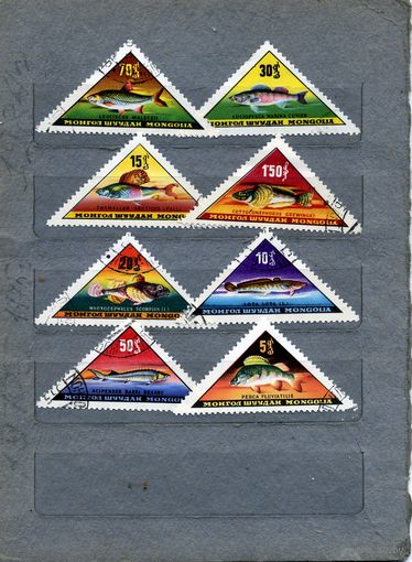 МОНГОЛИЯ, 1962  РЫБЫ,   серия  8м   гашен