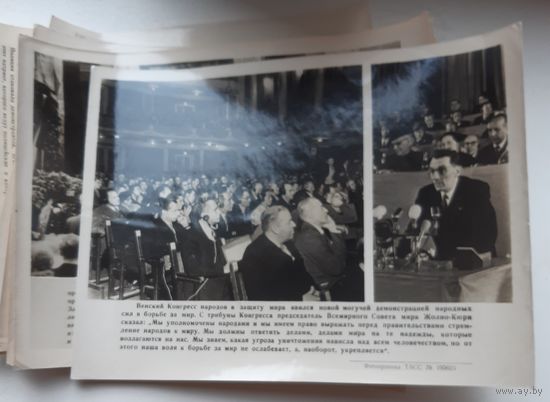 Фотохроника ТАСС 1952 - 1953 год. 59 фотографий