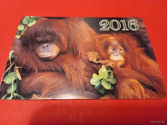 Календарик 2016г.