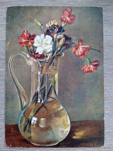 Никонов. Гвоздика. Карточка АХР. 1929?