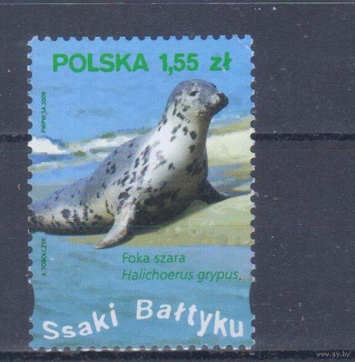 [2406] Польша 2009. Морская фауна.Тюлень. БЕЗ КЛЕЯ.