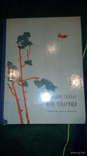 Мои товарищи