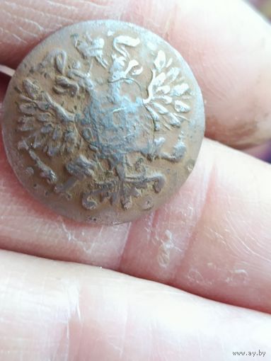 Пуговица ливрейка