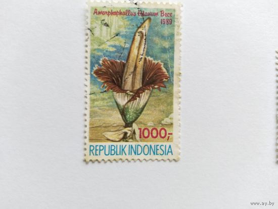 Индонезия  1989