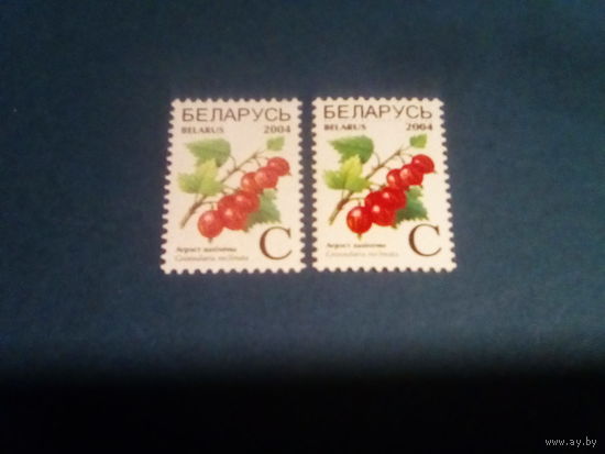 Беларусь 2004  стандарт мел простая
