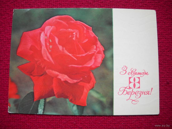 8 Марта! Бродьский, Бродский. 1978 г.