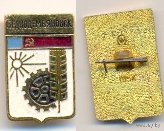 Беднодемьяновск. Серия – Мытищинская современная.