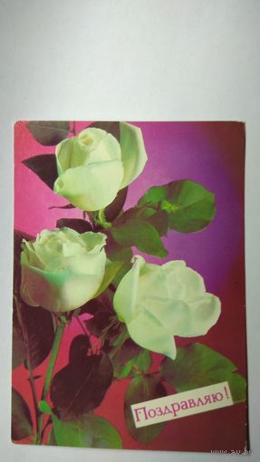 Открытка ,,поздравляю !,, 1988 г. Подписана .
