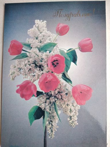 Открытка ,,поздравляю,, 1989 г. ,чистая