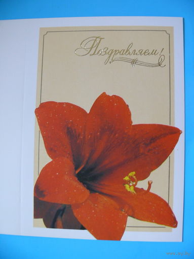 Колпачников В.(художник), Блюмфельд В.(фото), Поздравляем! 1989, двойная, чистая.