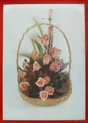Поздравляю! Чистая.  1989 года.