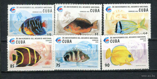 Куба - 1995 - Рыбки - [Mi. 3811-3816] - полная серия - 6 марок. MNH.  (LOT GP42)-T3P46