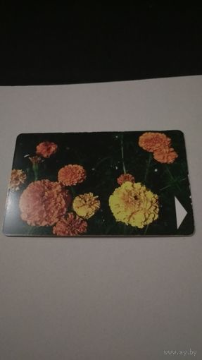 Белтелеком цветы
