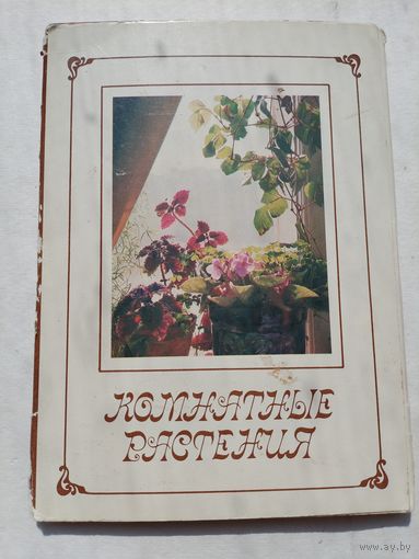 Набор открыток. Комнатные растения. 15 штук