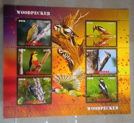 СЕРИЯ Блоков птицы  фауна MNH