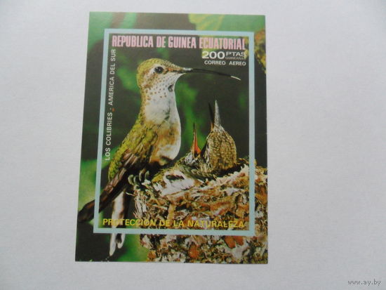 Экваториальная Гвинея, фауна