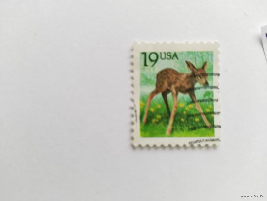 США  1991