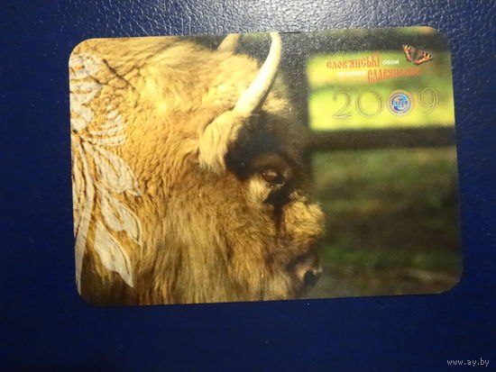 Календарик 2009 г. Зубр.