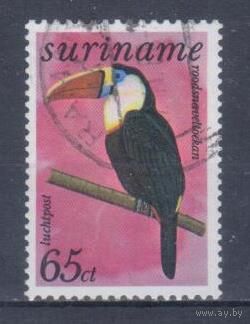 [556] Суринам 1977. Фауна.Птица.Тукан. Гашеная марка.