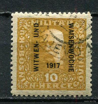 Босния и Герцеговина (Австро-венгерская администрация) - 1917 - Надпечатка WITWEN- UND WAISENWOCHE 1917 - [Mi.119b] - 1 марка. Гашеная.  (Лот 11JC)-TG3P59