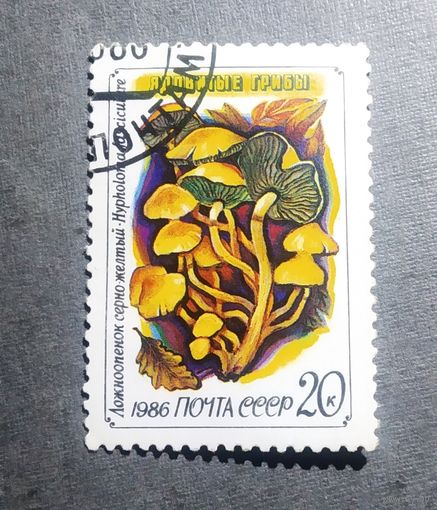 Марка СССР 1986 год Грибы