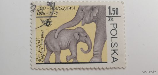Польша 1978. Животные зоопарка