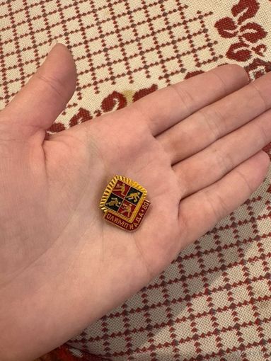 Олимпиада 80 ЗНАЧОК С РУБЛЯ