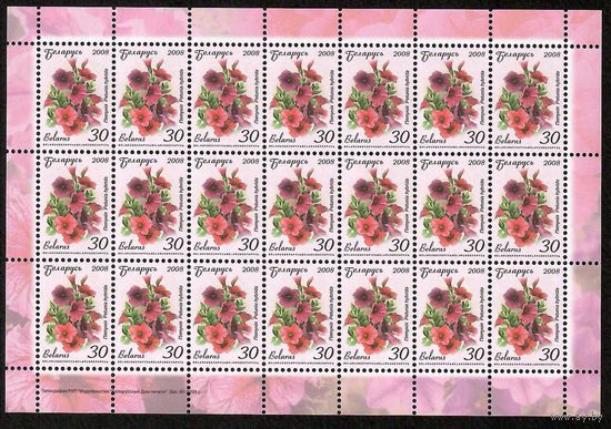 Беларусь. 2008. Стандарт.  Петуния (30р) (з.97-2009) Лист