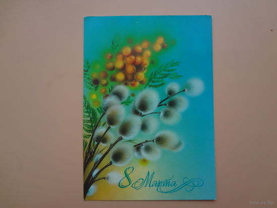 8 Марта.  Мимоза, котики.  1982 г.