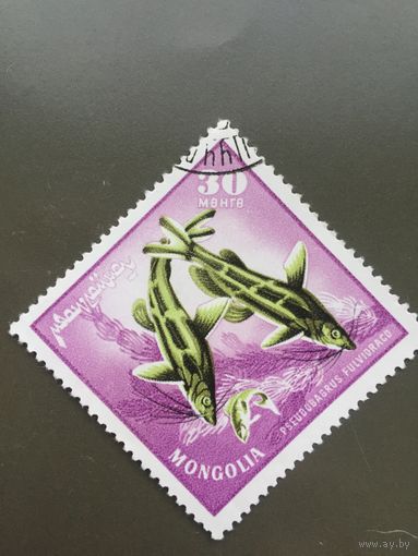 Монголия 1965 год. Рыбы
