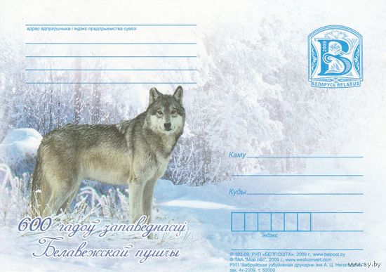Беларусь 2009 ПК 600 лет заповедности Беловежской пущи Волк (к5)