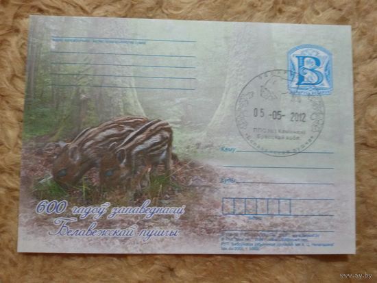 СГ Беларусь. 2012. Беловежская пуща. Поросята