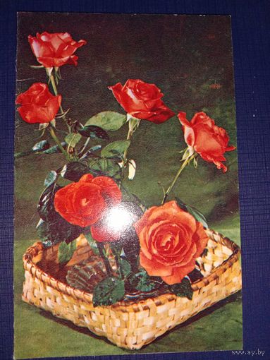 Открытка 1980 Фото Тужикова   двойная подписанная