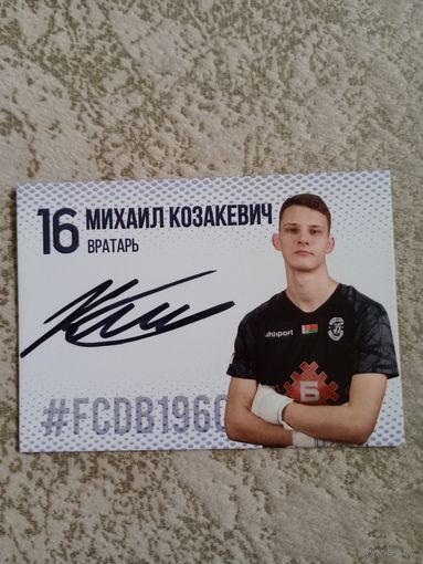 Михаил Козакевич