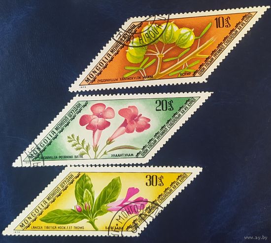 Монголия 1975 Цветы, не  полная серия