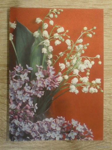 ПОДПИСАННАЯ ОТКРЫТКА СССР. "СИРЕНЬ И ЛАНДЫШИ" фото. Б. РАСКИНА 1970 год.