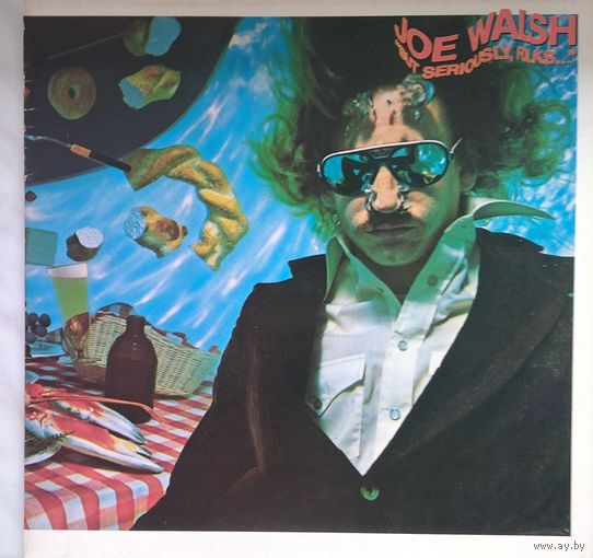 JOE WALSH  /EX-Eagles/1978, WB, LP, Germany