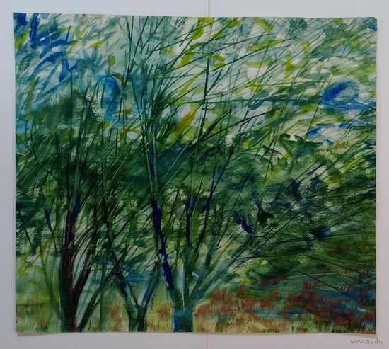 Акварель 49х55