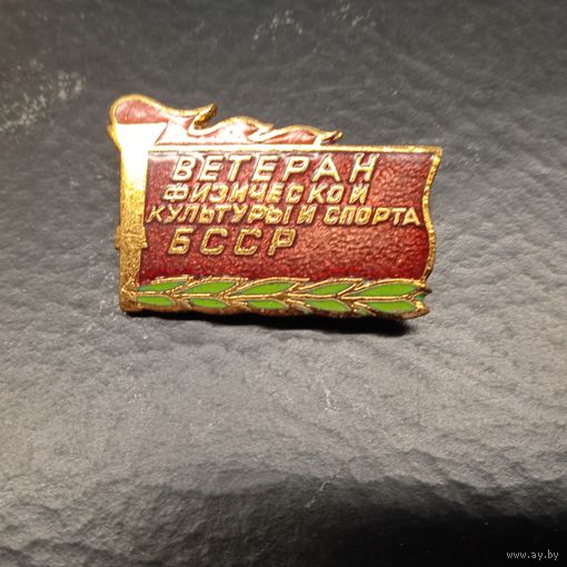 Знак. Ветеран физической культуры и спорта БССР. тяжёлый. РАСПРОДАЖА КОЛЛЕКЦИИ.