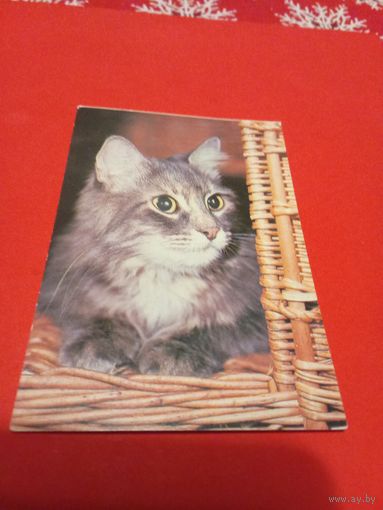 Календарик 1993г.