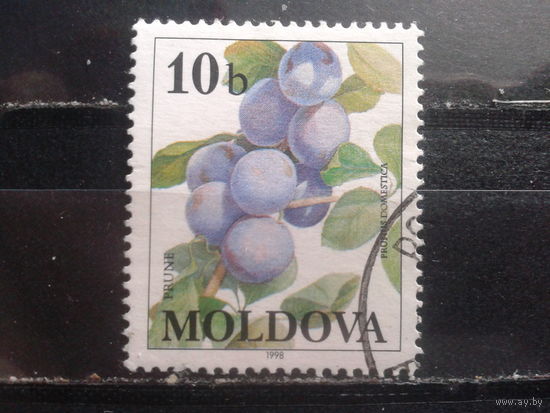 Молдова 1998 Ягоды